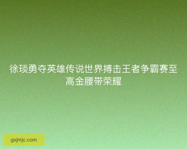 徐琰勇夺英雄传说世界搏击王者争霸赛至高金腰带荣耀